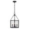 Z-Lite Barrington Pendant, 4-Light, 12 In.W x 21 In.H, Matte Black/Clear Waterglass 346P12-MB - alternate 1